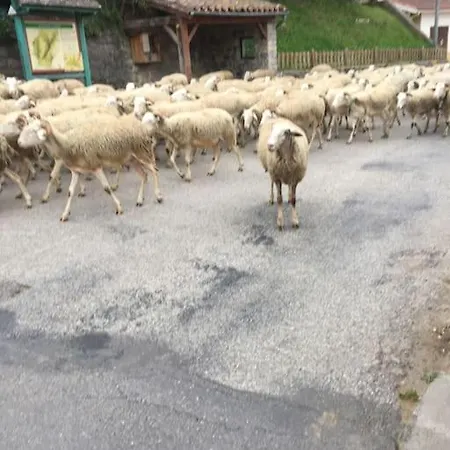 Grande Maison Familiale *